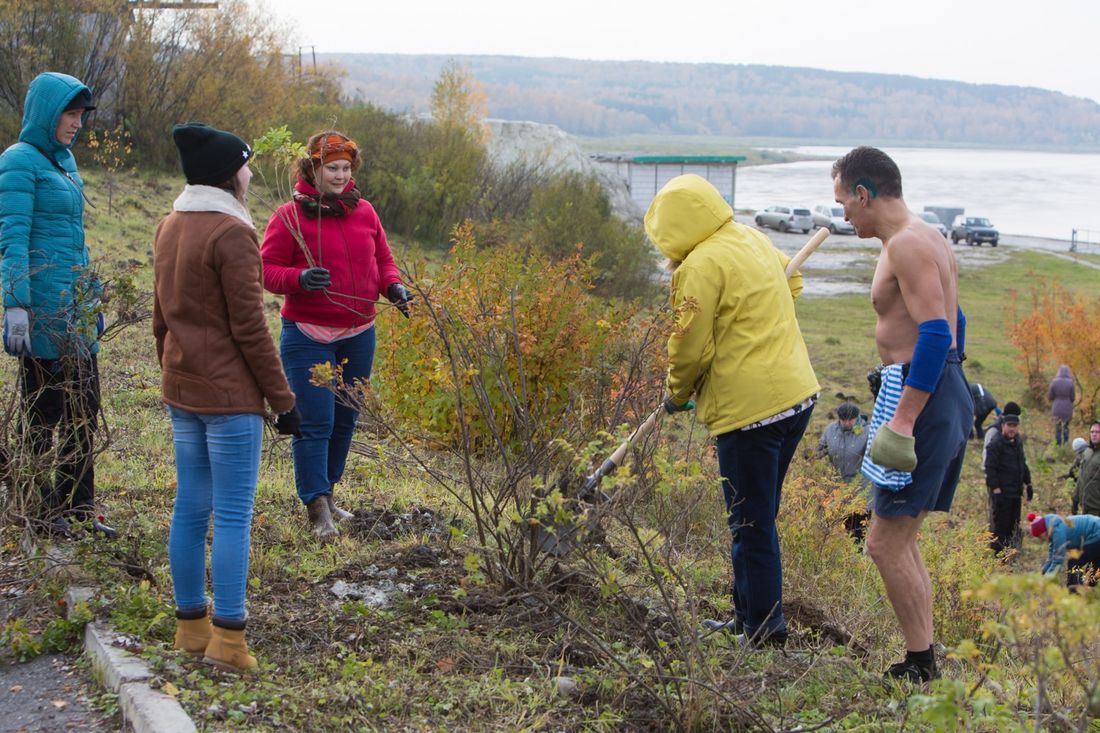 Городское благоустройство, Зелень в городе, Томские новости, зелень субботник для мэрии Павленко благоустройство Субботник-2017: В Томске высадили более 12 тыс. саженцев шиповника и сеянцев сосны (ФОТО)
