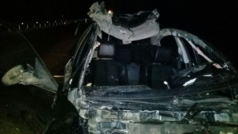 Происшествия, Томские новости, сбили коней кони погибли Водитель иномарки насмерть сбил четырех коней в Томской области