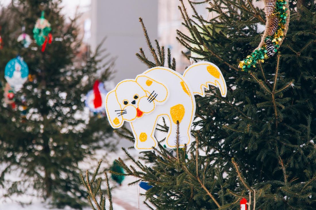 DIY, Город, Новый год ❄, Томские новости, Томск Новый год игрушки елки Кляйн праздник украшать школьники дети Томские школьники украсили деревья на Ново-Соборной самодельными игрушками (ФОТО)