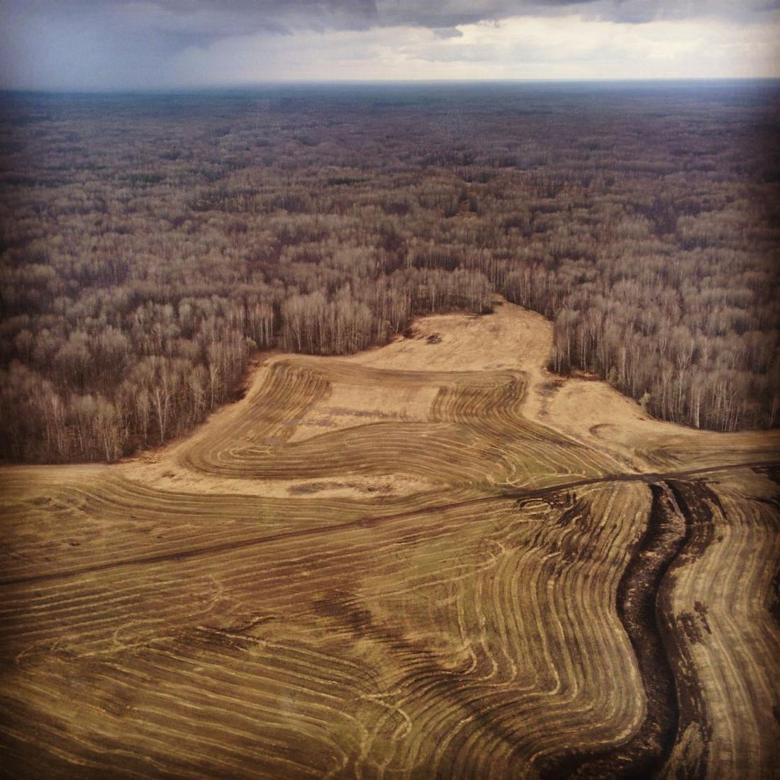 Лесные пожары, Томские новости, самолет лес горит пожары безопасность Легкомоторная Cessna встанет на защиту томских лесов