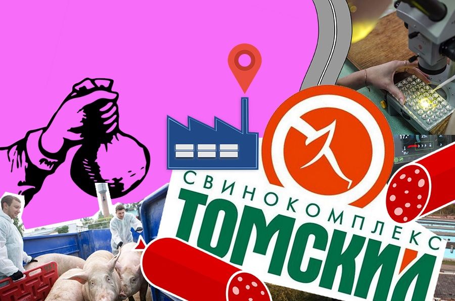 9 удивительных фактов, которые вы не знали о свинокомплексе «Томский»