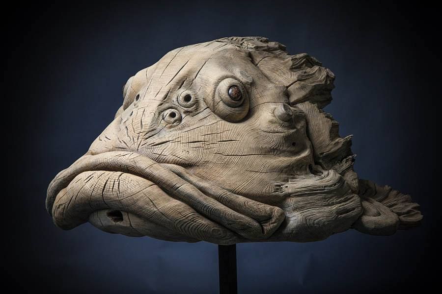 Посмотри! Томский таёжный окунь из 126-летнего пня