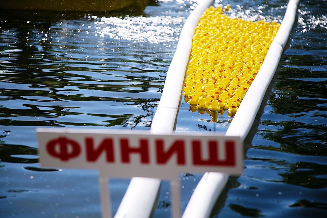 Томский Обзор, новости, T2, Мировые новости Tele2 благотворительный заплыв утята Навстречу переменам фестиваль средства Tele2 поддержала гонку резиновых утят