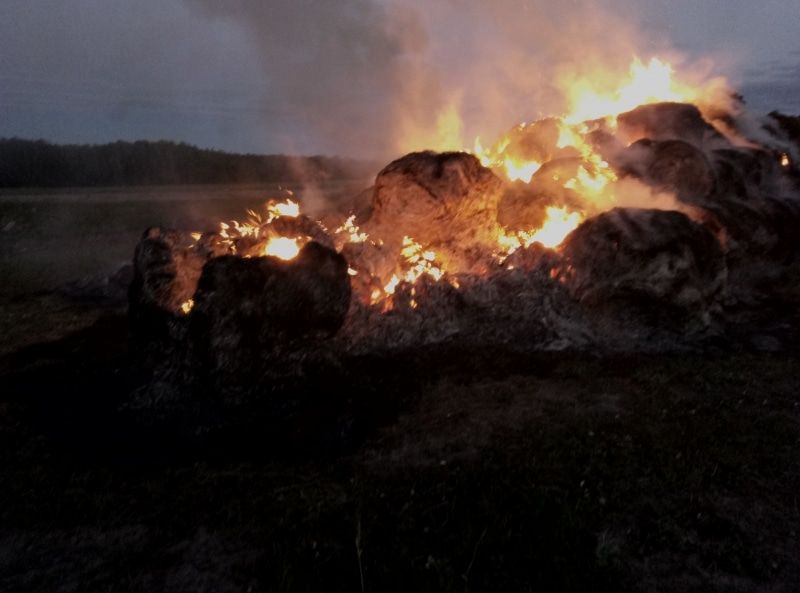 Происшествия, Томские новости, сено огонь пожар подожгли сгорел В Томской области селянин сжег сена на 136 тыс. рублей (ФОТО)