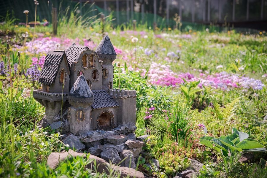 Зелень в городе, Отдых, Томские новости, экскурсии ботанический сад глуять куда сходить травы растения туристы Томичам предлагают посмотреть на красивые и опасные растения (ФОТО)