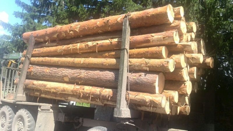 Криминал, Томские новости, рубят лесчерный лесоруб моряковка дрова купить продать Житель Томского района нарубил сосен на 1,5 млн рублей (ФОТО)