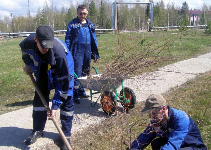 В Год экологии: как «Томскнефть» заботится о сохранении окружающей среды