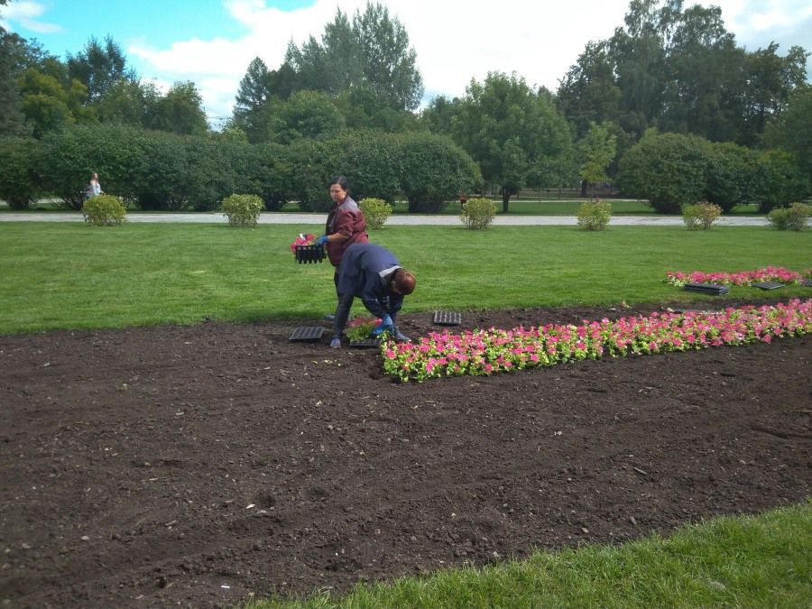 Городское благоустройство, Ново-Cоборная, Томские новости, Новособорная цветники реконструкция На Новособорной в Томске обустраивают цветники (ФОТО)