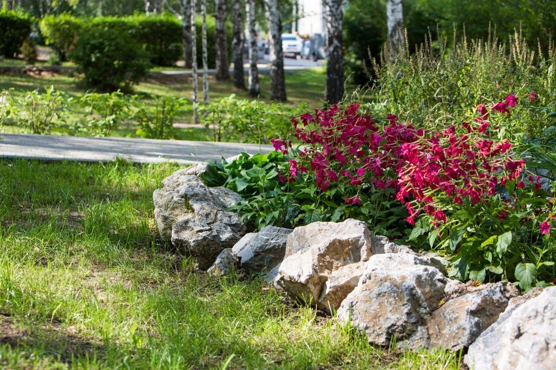Бизнес, Город, Городское благоустройство, Томские новости, Томск инвестор благоустройство газон дорожки парковка Новые парковки, газоны и места отдыха появятся в Кировском районе Томска за счет инвесторов