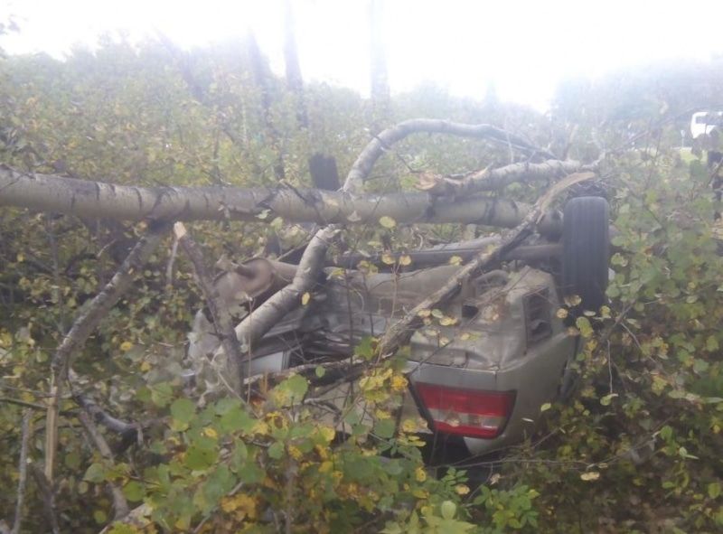 Происшествия, Томские новости, дтп авария двое погибли разбились молодые пропали Двое погибли в перевернувшейся иномарке на трассе в Томской области (ФОТО)