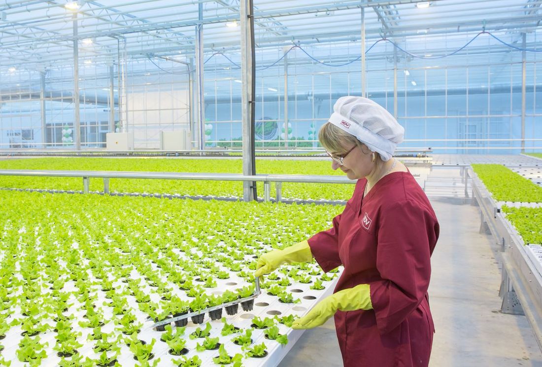 Предприятия Томска и области, Томские новости, Экономика и финансы, КДВ переезд предприятия «КДВ Групп» перерегистрирует одну из структур из Томска в Москву