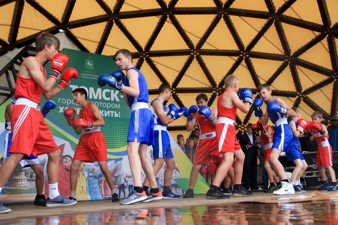 Конкурсы и акции, Спорт, Спорт в Томске, Томские новости, день бокса праздник фото новособорная школа бокса заняться боксом в Томске экипировка куда пойти В Томске отметили международный День бокса (ФОТО)