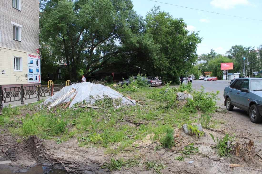 Городское благоустройство, Томские новости, березы тополя вырубают деревья В Томске вырубили деревья на Усова и Красноармейской (ФОТО)