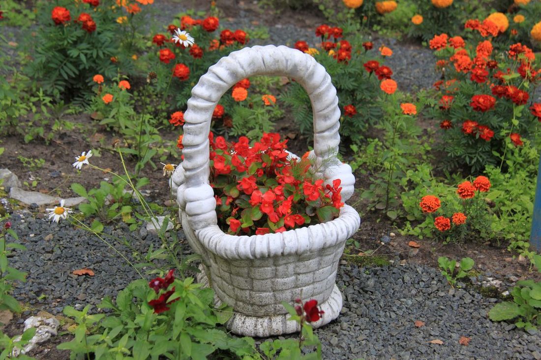 Томские новости, Томскнефть ВНК, Томскнфеть зеленый офис офисное пространство Стрежевские нефтяники и их деловые партнёры знают, как сделать офисное пространство экологичным