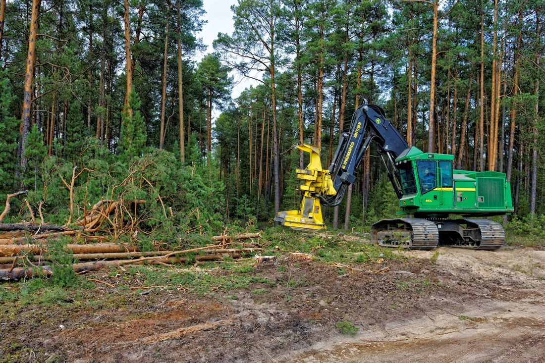 Судебные дела, Томские новости, арбитражные дела завод китайцы рубят лес в Томской области Суд оштрафовал китайский ЛПК в Томской области за работу завода без разрешения на ввод