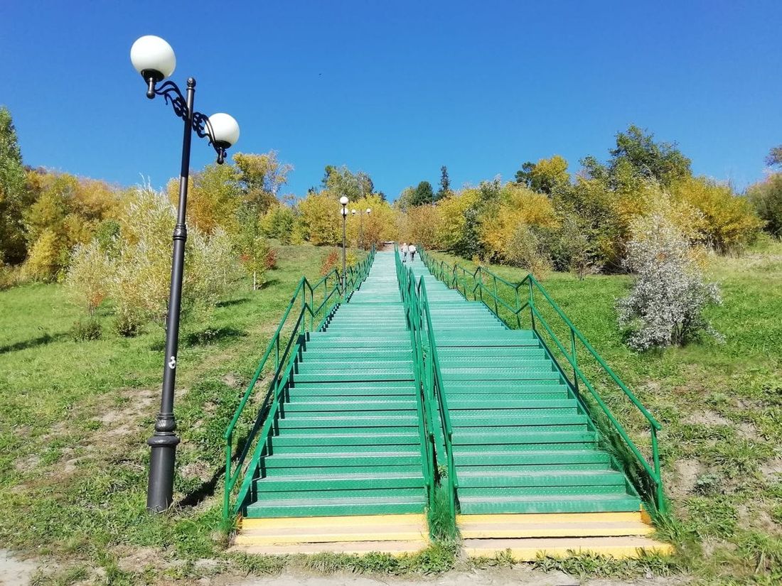 Культура в Томске, Природа, Томские новости, экскурсия экология орнитология птицы пение Томичей ждут на орнитологическую экскурсию