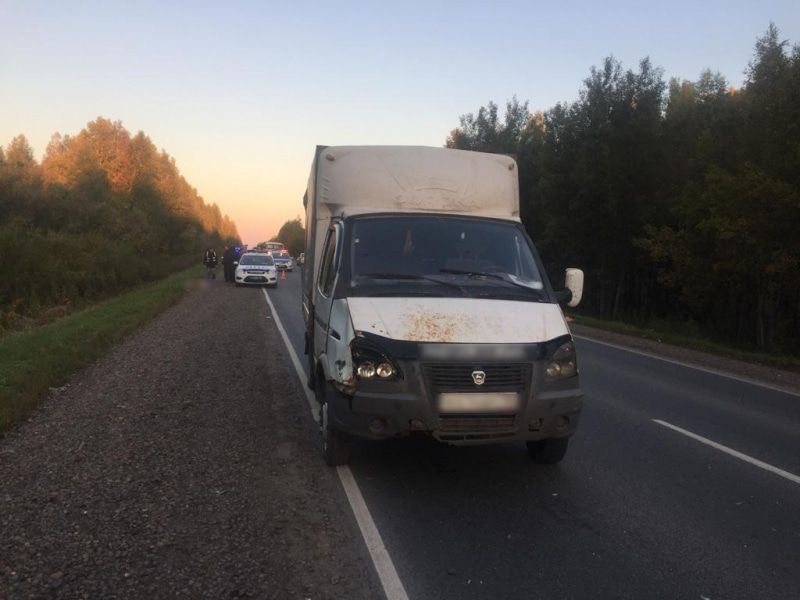 Дороги, Происшествия, Томские новости, дтп сбили насмерть автоавария смерть сбила машина газель В Томском районе «Газель» насмерть сбила женщину