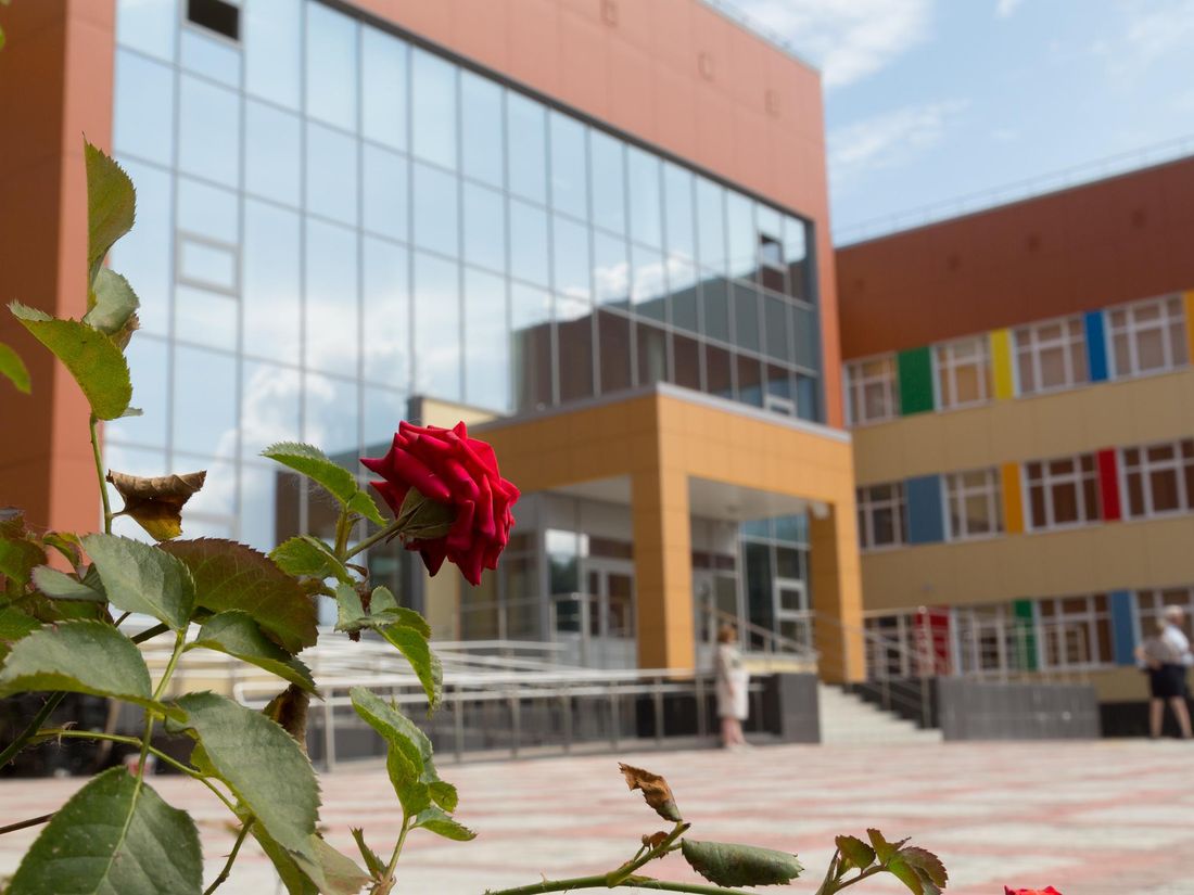 Образование и наука, Томские новости, образование школа учителя зарплаты учителей работа в Томске заработать заработки Школьными учителями через службу занятости станут 9 жителей Томской области