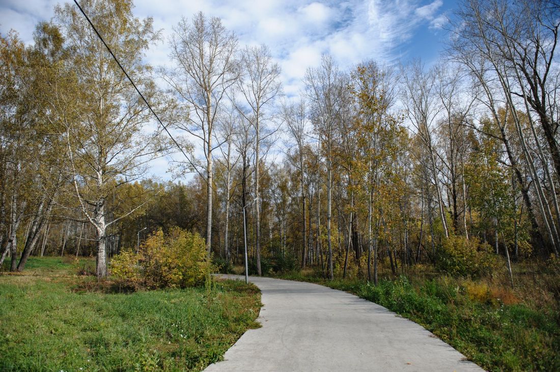 Город, Городское благоустройство, Михайловская роща, Томские новости, динопарк эко михайловская роща аттракционы Мэр Томска: «Инвестор намерен построить в Михайловской роще дино- и этнопарк»
