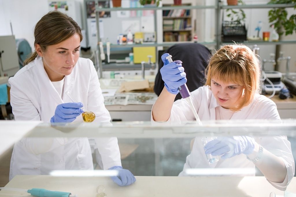 Медицина и биотехнологии в ТГУ, Образование и наука, ТГУ, Томские новости, анальгетики заживление ран наука ученые химия фармакология Томские ученые создали новый противоязвенный препарат