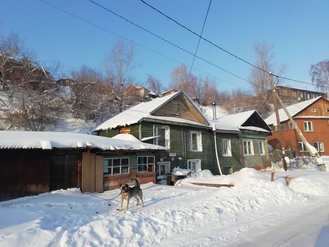 Краеведение, Томск исторический, Томские новости, болото экскурсия томск город мастеров Томичей приглашают на экскурсию в район Болото