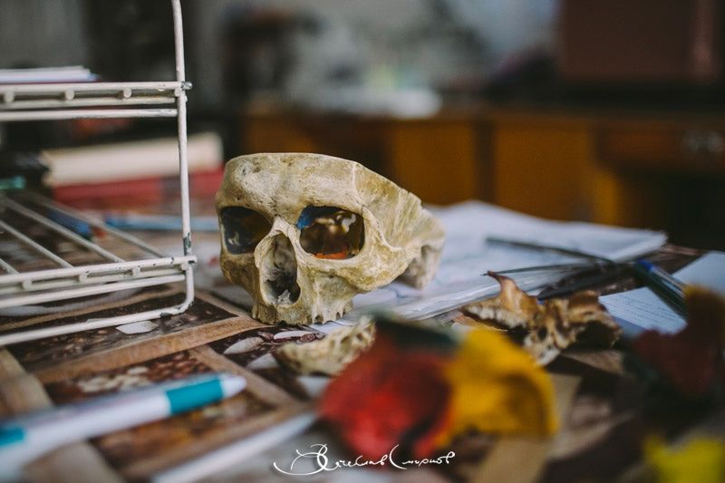 Образование и наука, ТГУ, Томские новости, антропология антропогенез человек происхождение человека эволюция лекции В Томском госуниверситете стартует курс лекций по антропологии