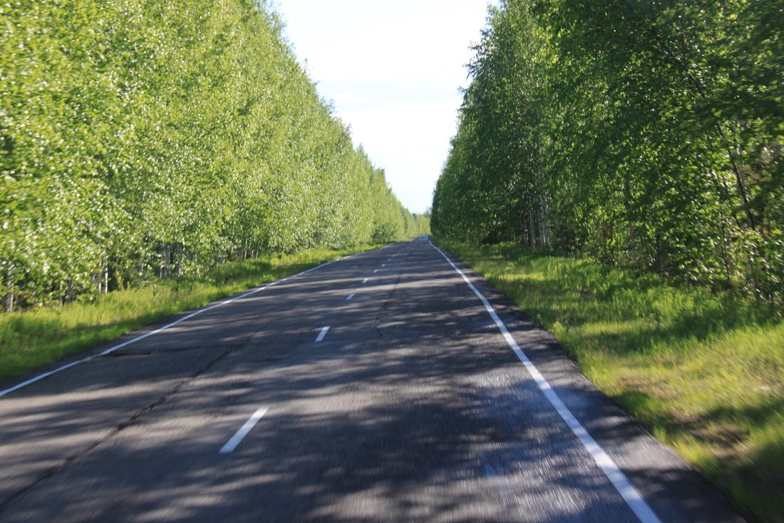 Томские новости, Томскнефть ВНК, дороги ремонт сезонный проезд нефтяники зимник На автодорогах «Томскнефти» ведутся сезонные работы