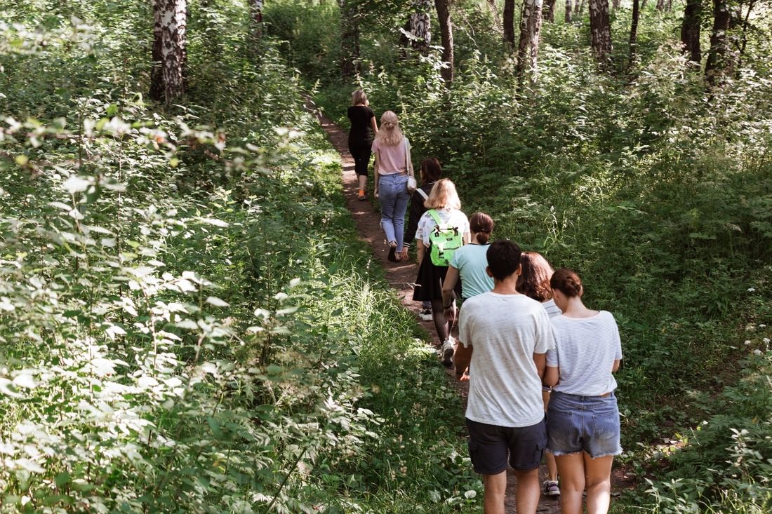 Газпромнефть-Восток, Томские новости, арт-тропа михайловская роща рисунки на деревьях кто рисует на деревьях «Газпромнефть-Восток» поддержал создание арт-тропы в Михайловской роще