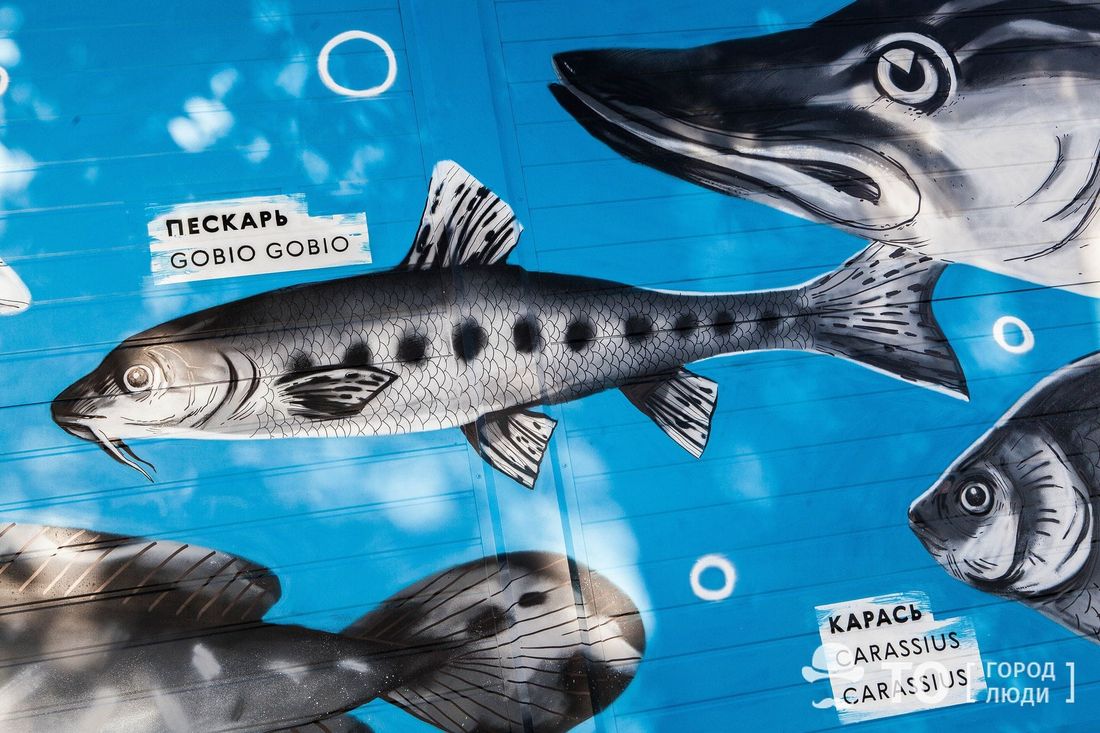 Томские новости, В Томской области разрешили ловить рыбу сетью