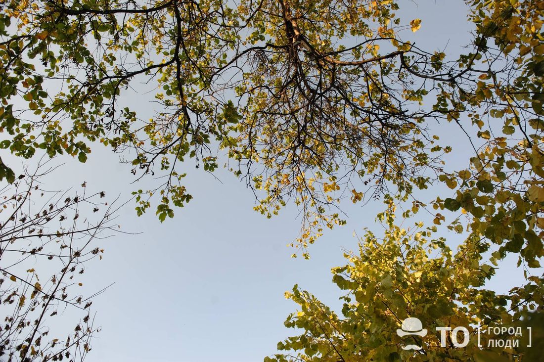 Городское благоустройство, Томские новости, сквер парки томска благоустройство Сквер у СибГМУ в Томске назван в честь академика Яблокова