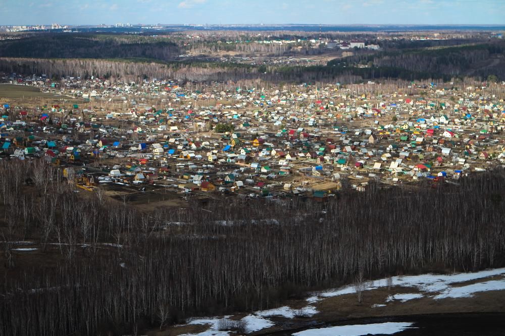 Выборы, Политика, Томские новости, Томская область выбора поселение муниципалитет глава В Томской области выберут девять новых глав муниципалитетов
