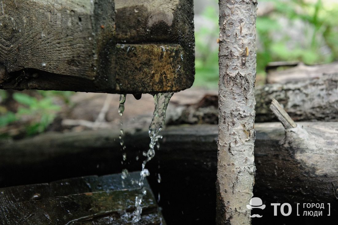 Город, Люди, События, Томские новости, томск родники благоустройство новости память александр назаров университетское озеро интересное собы В Томске пройдет акция со свечами в память о томском гидрогеологе Александре Назарове