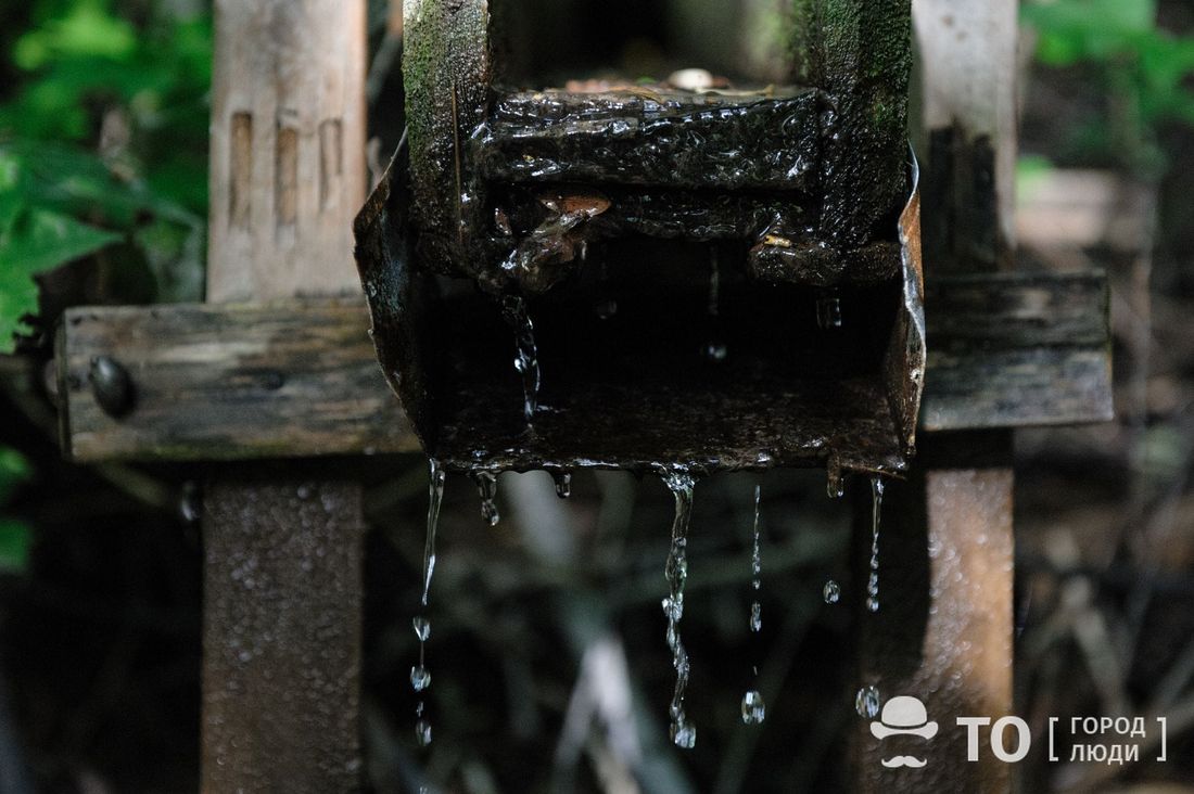 Культура в Томске, Томские новости, Экология, пруд университетское озеро родники В Томске наведут порядок на родниках Университетского озера