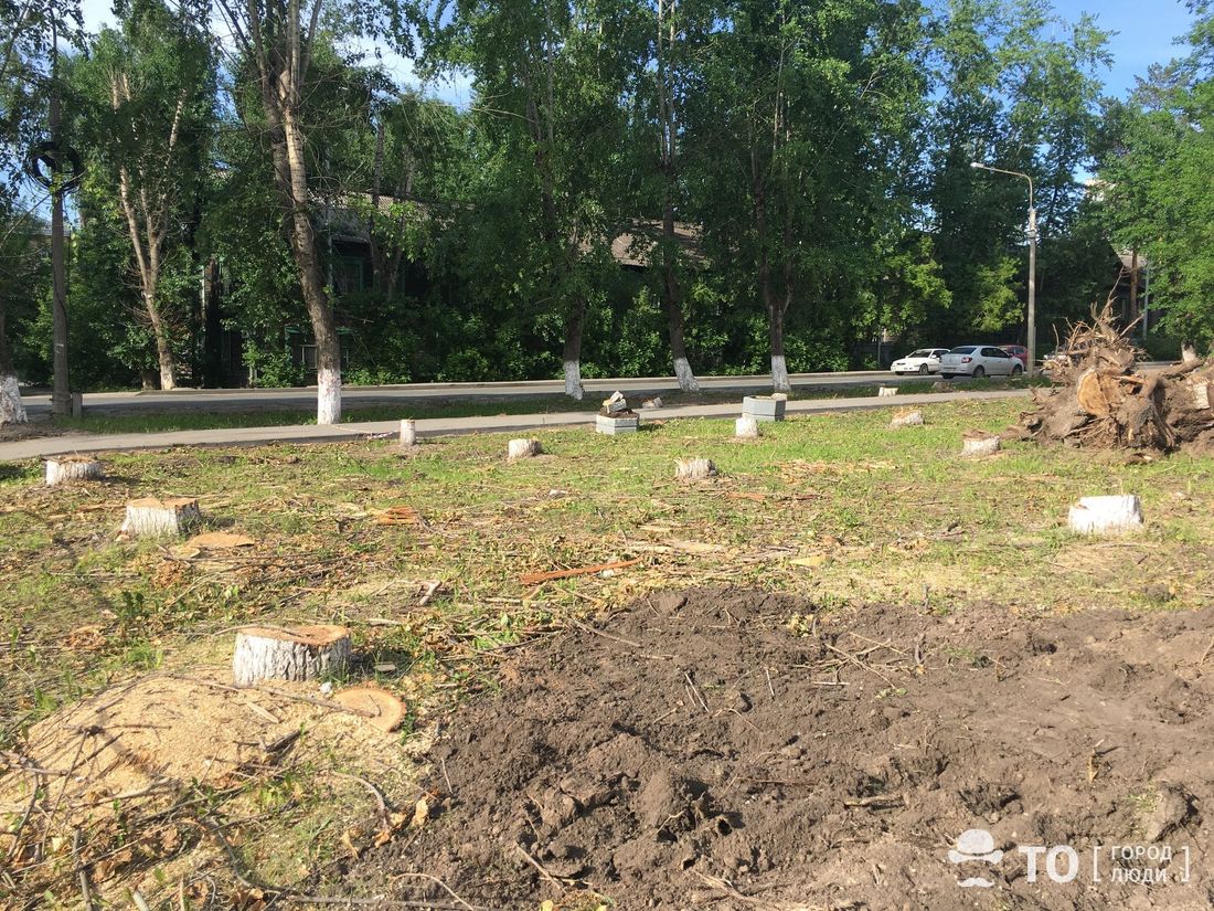 Зелень в городе, Томские новости, кустарники зелень деревья высадили посадки Число высаживаемых деревьев и кустарников на ул.Усова в Томске увеличили до 5 тысяч