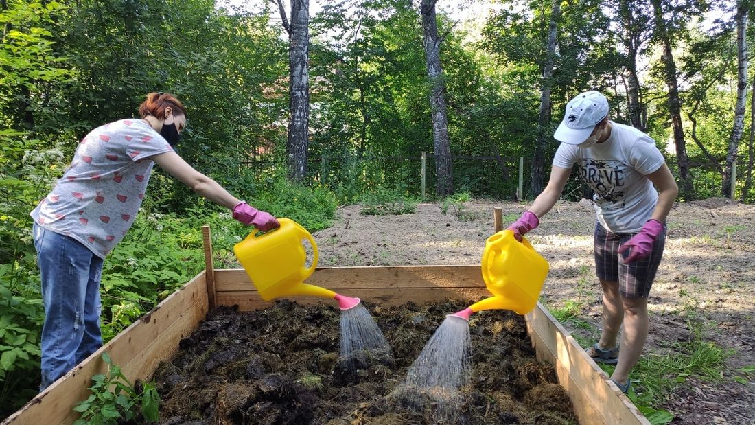 Образование и наука, ТГУ, Томские новости, томск трава тгу студенты калифорнийские черви В ТГУ тестируют экологичный способ переработки скошенной с газонов травы с помощью калифорнийских червей