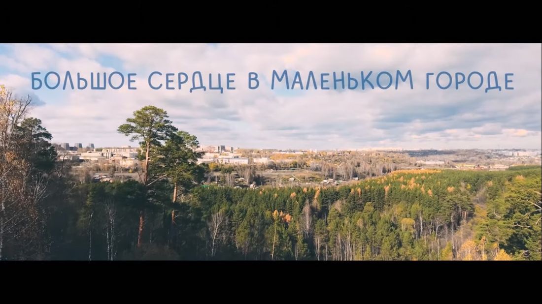 В мире животных, Томские новости, томск студентка фильм бездомные животные Студентка ТГУ сняла фильм про бездомных животных Томска