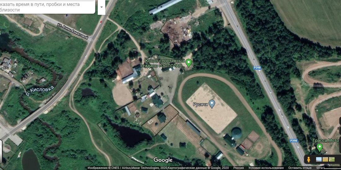 Происшествия, Томские новости, томск стадион кони пожар золотая орда В пожаре на стадионе «Золотая орда» погибли конь, жеребенок и пони