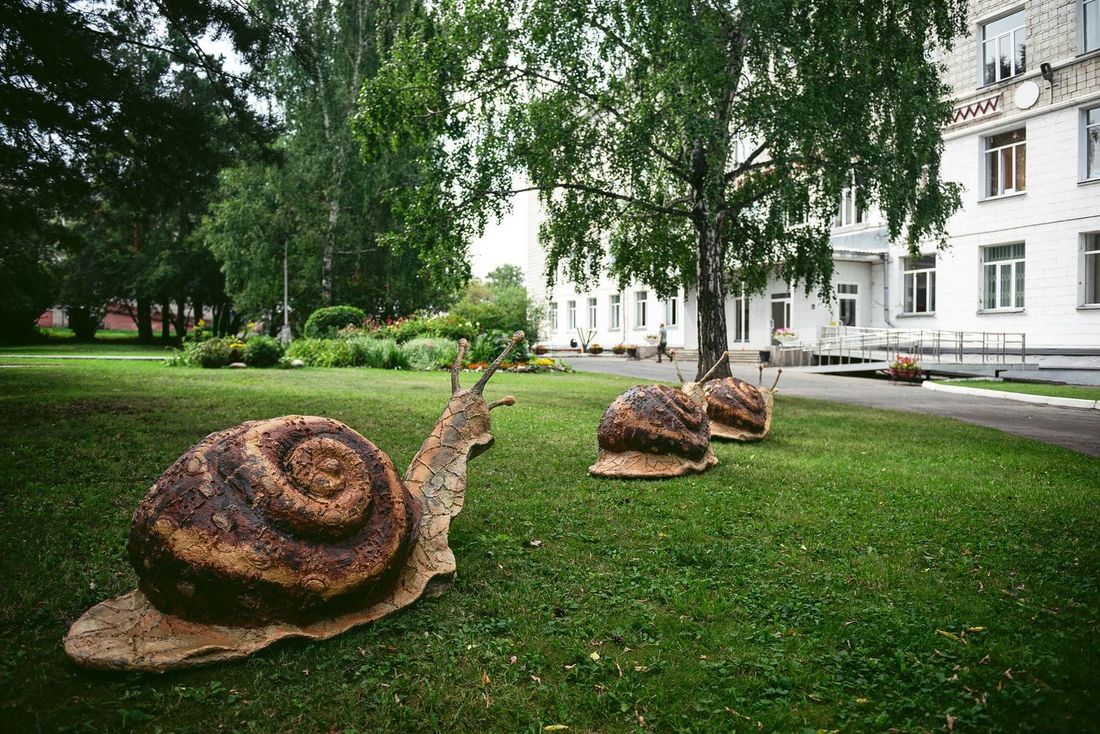 Городское благоустройство, ТГУ, Томские новости, фигурки благоустройство тгу роща тгу университетская роща совы улитки Гигантские улитки и совы поселились в Университетской роще Томска