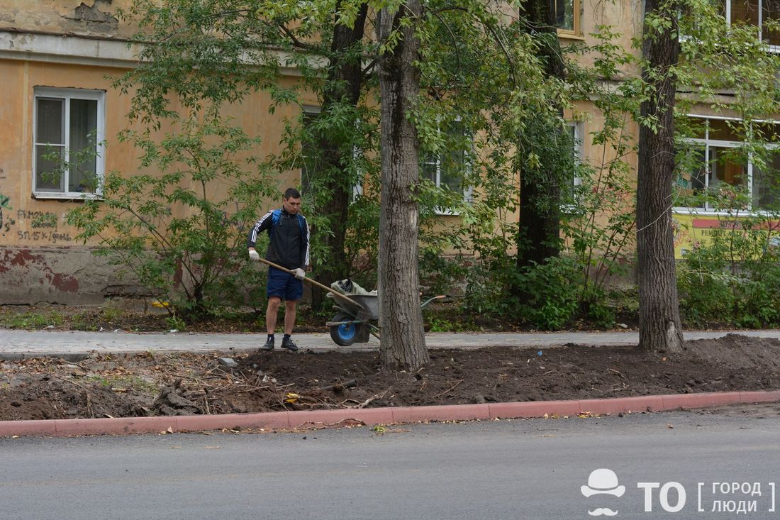 Зелень в городе, Томские новости, ландшафтная комиссия заключение выезд снос деревьев тополей В Томске на Усова снесут 27 тополей, высадят крупномеры и живые изгороди