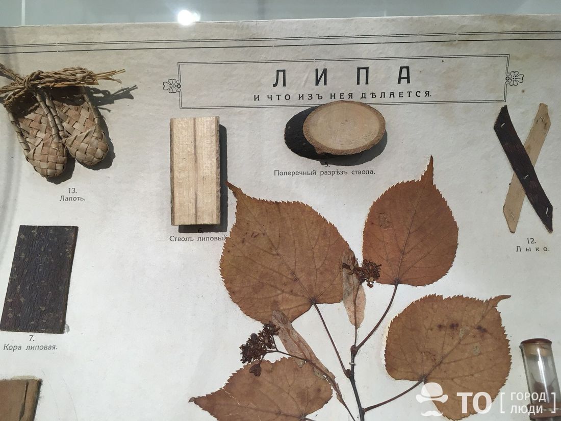 Афиша Томска, Культура в Томске, Томские новости, Томский областной краеведческий музей, музей экспозиция краеведческий музей куда сходить работа музеев Томичи увидят фрагменты самой первой экспозиции Краеведческого музея