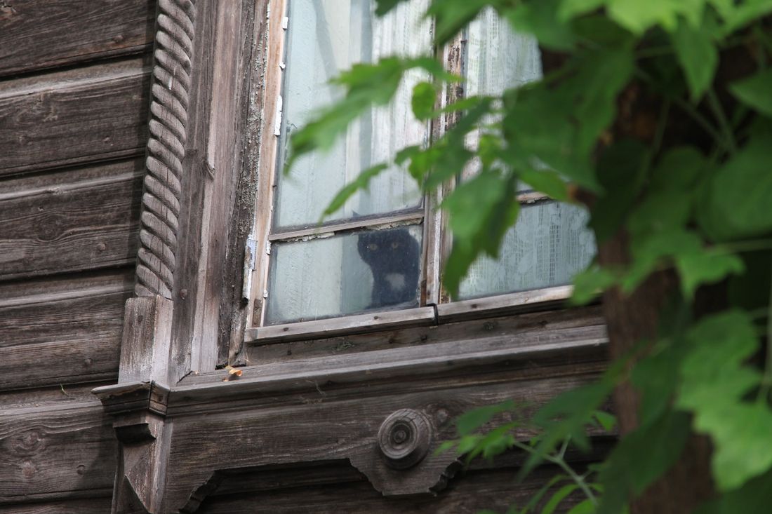 Том Сойер Фест, Томские новости, реставрация деревянная архитектура восстановление дома Том Сойер Фест в Томске. График работ на август