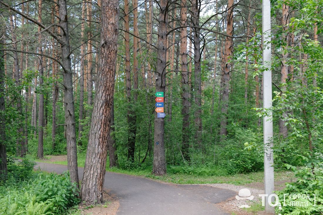 Томские новости, Экология, облкомприрода экология загрязнение воды Экологи нашли следы слива канализации в реку у поселка в Томске