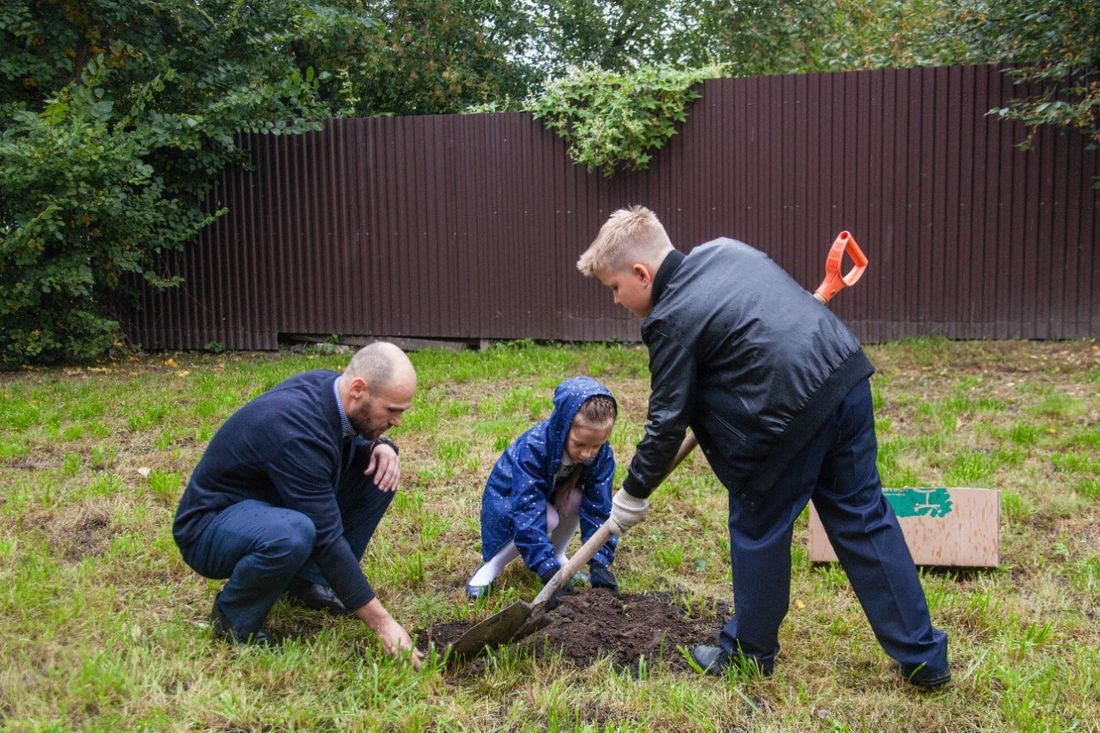 Благотворительность, Томские новости, высадка кедров вов 75-летие победы новости томск томские новости новости интересное В Томске высадили кедры в честь 75-летия Победы в ВОВ
