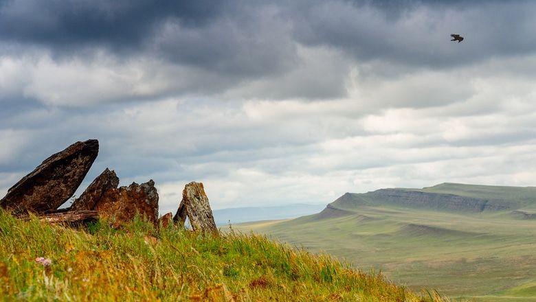 Томский Обзор, новости, Мировые новости новости хакасии хакасия онлайн археология раскопки новости интересное В Хакассии обнаружили останки женщины-воина в древнем захоронении