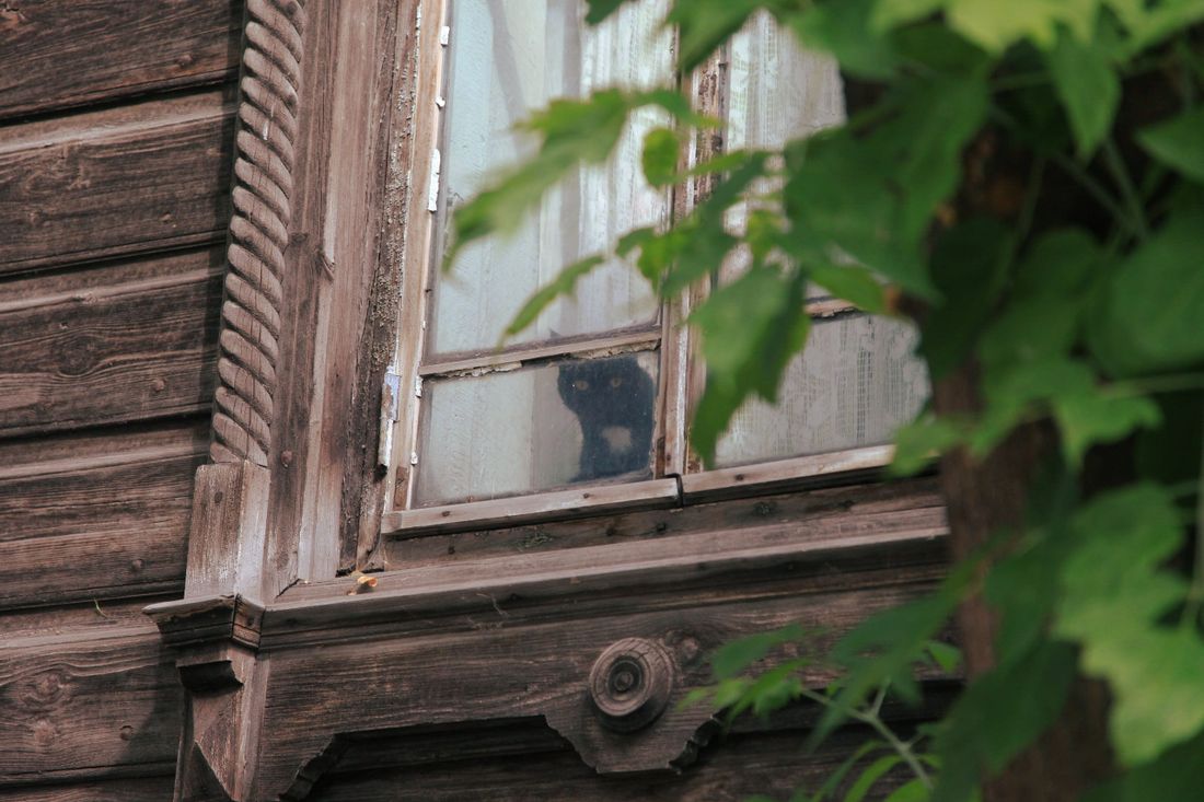 Том Сойер Фест, Томские новости, реставрация деревянная архитектура восстановление дома Том Сойер Фест в Томске. График работ на сентябрь