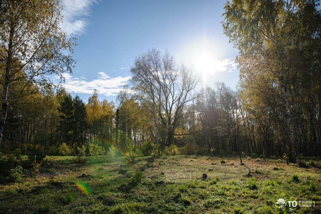Город, Городское благоустройство, Томские новости, интересные новости Томска преображение города выбор повлиять на благоустройство Томскую Михайловскую рощу благоустроят в следующем году