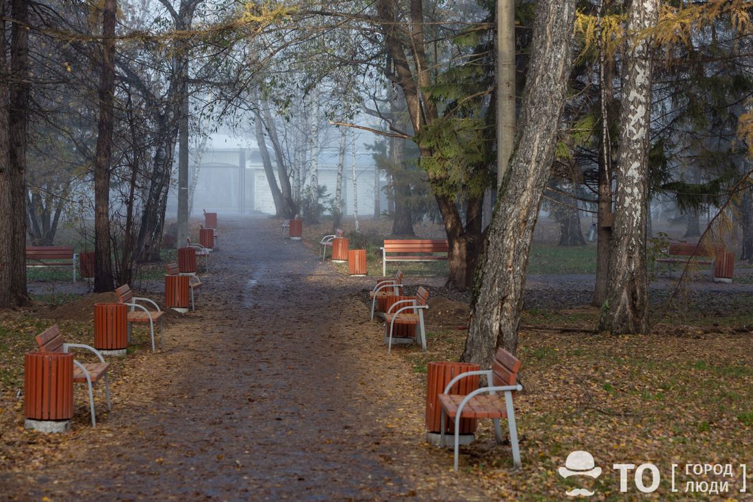 Дороги, Происшествия, Томские новости, березовая роща автомобили парковка пешеходные дорожки проезд Томичей просят не ездить на автомобилях по пешеходным дорожкам в Березовой роще