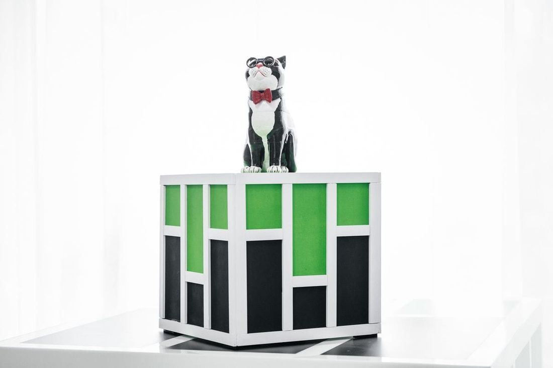 Памятники, Томские новости, ТПУ, мышелов Василий кот памятник коты в учреждениях библиотекарь В научной библиотеке ТПУ появился памятник легендарному коту-библиотекарю Василию