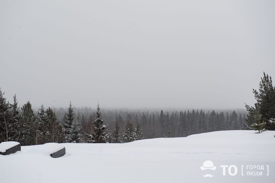 Погода и природа, Томские новости, автовокзал отмена рейсов томск морозы Девять автобусных рейсов из Томска отменены из-за мороза