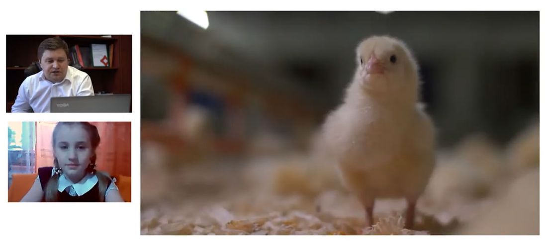 Предприятие, Предприятия Томска и области, Сибагро, Томские новости, Томск Сибагро свинокомплекс животные производство школьница интервью Томская третьеклассница взяла интервью у топ-менеджера аграрного производства